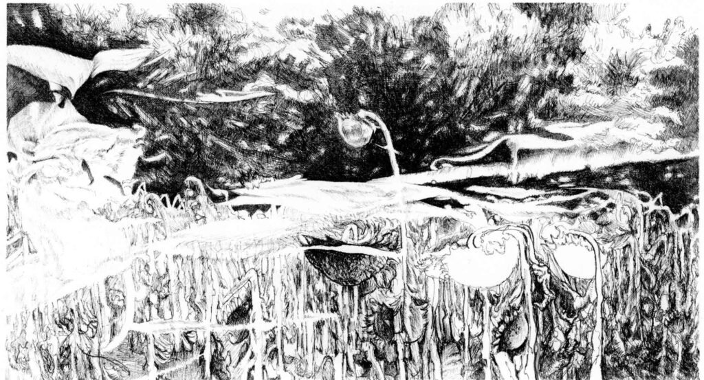 Dessin mi-figuratif mi-abstrait en noir et blanc d'un paysage magique de tournesols fanés.