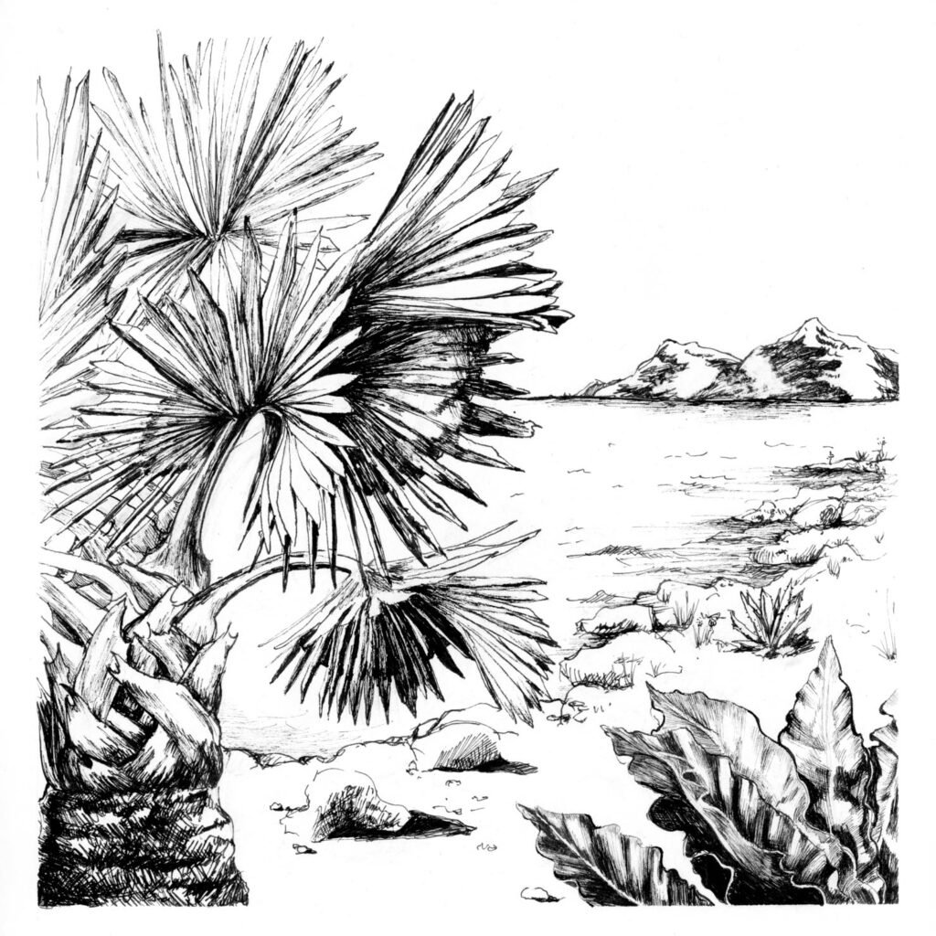 Dessin figuratif en noir et blanc d'un paysage idyllique tropical avec palmiers, montagnes, sable et beaucoup de plantes. Vue sur la mer.